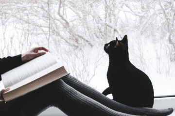 Reading woman with black cat